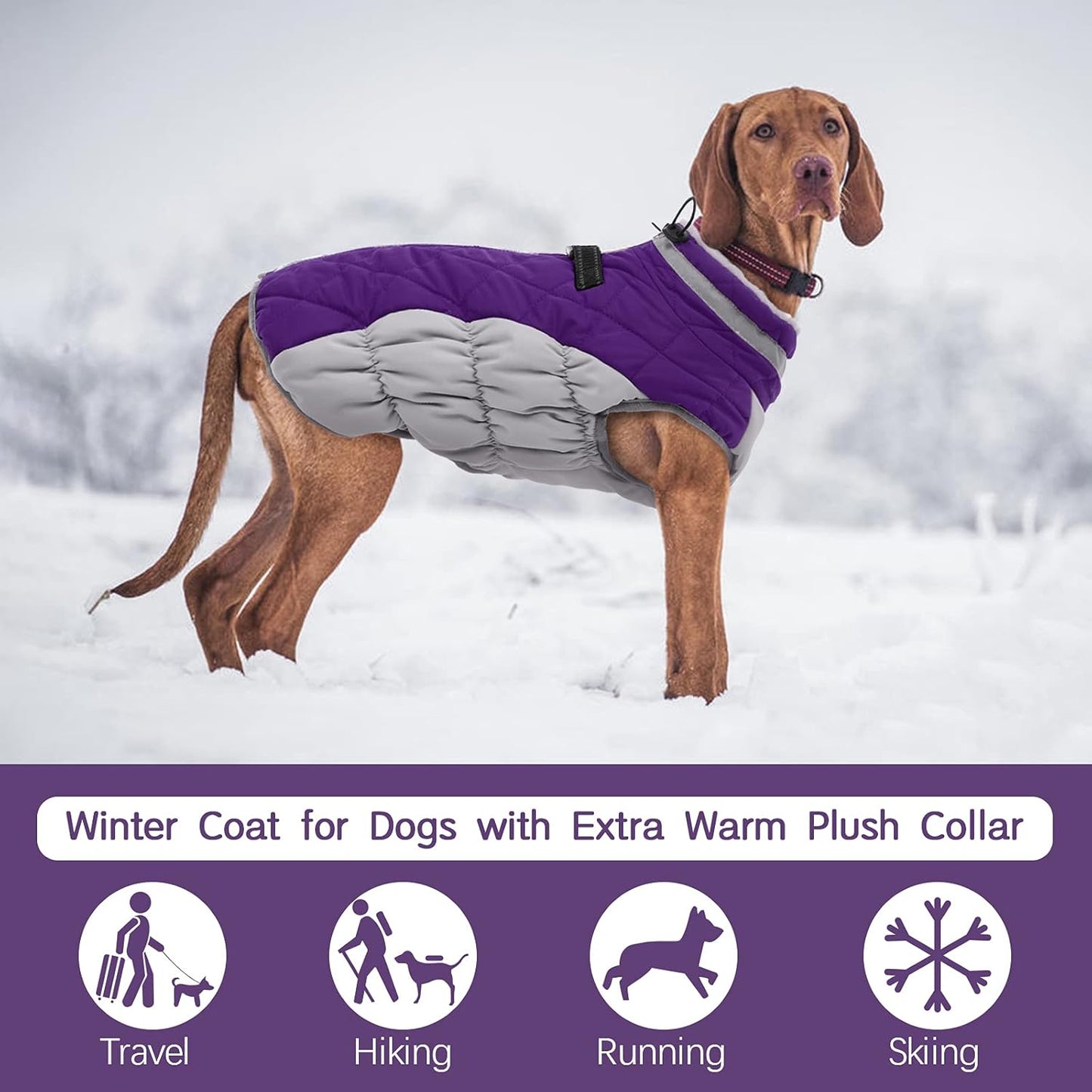 Wasserdichte Hundejacke Winter Reflektierend mit Fleece