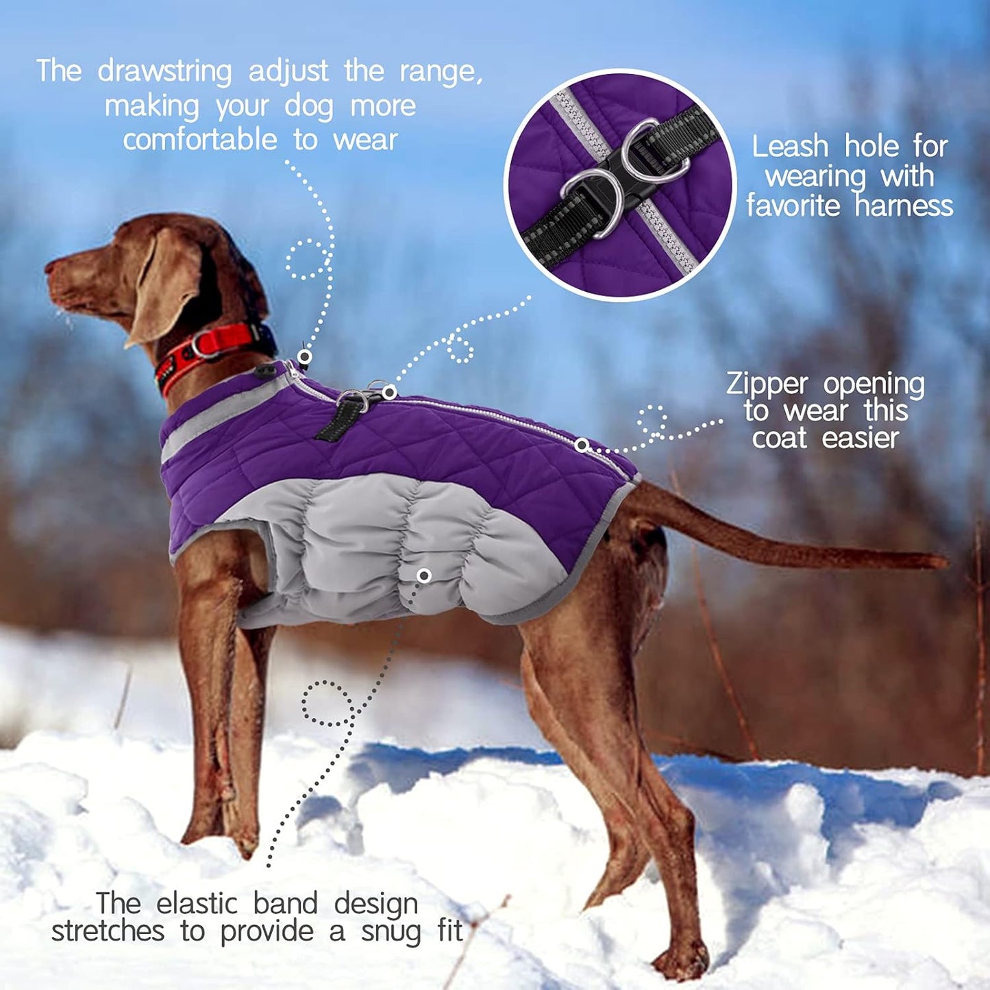 Wasserdichte Hundejacke Winter Reflektierend mit Fleece