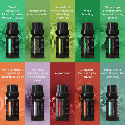 Ultraschall-Diffusor 400ml mit 10 ätherischen Ölen Set