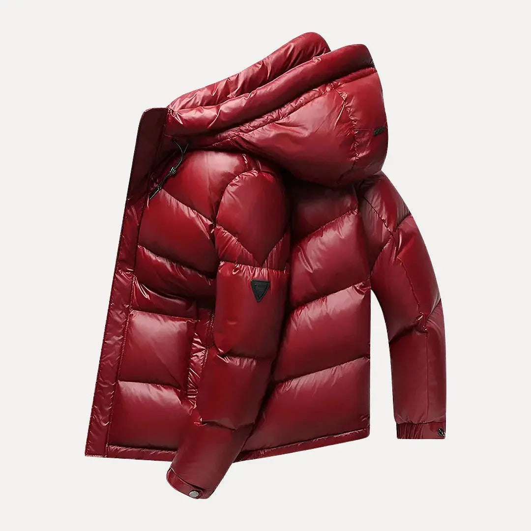 Elarova | Glänzende, gefütterte Herren-Steppjacke mit Kapuze