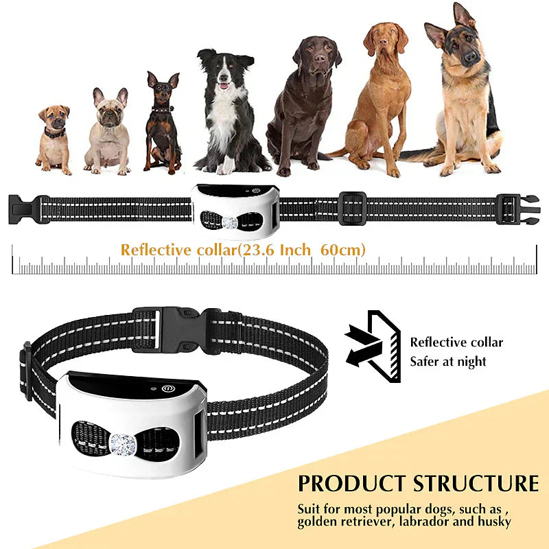 Wasserfestes Hundehalsband mit GPS Tracker